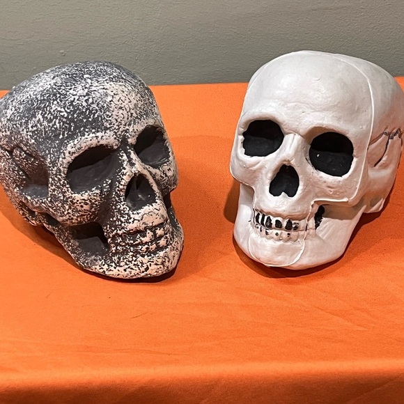 Gray and White Skull Decor Set - Picture 15 of 15
